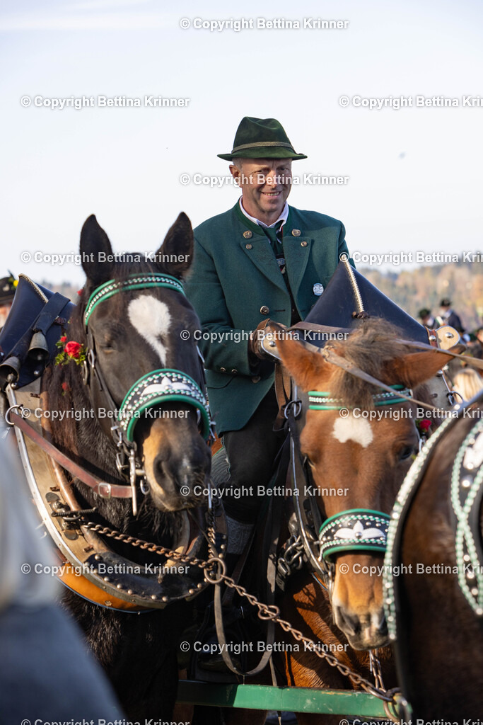 LBT24-1120 | foto-bettina-krinner - Realisiert mit Pictrs.com