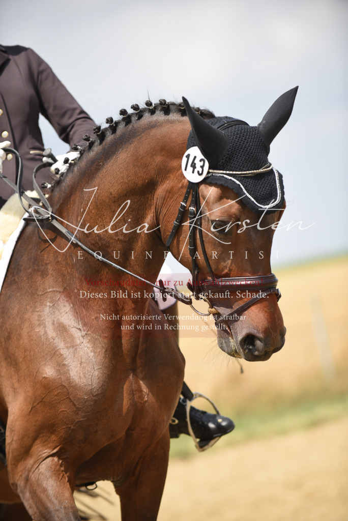 DSC_4301 | Pferde- und Turnierfotografie in Westsachsen. Pferdeportraits, Auftragszeichnungen und intuitive Kunst.
