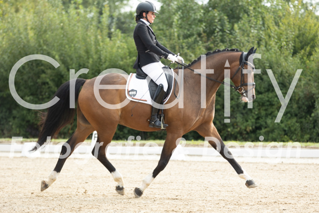 IMG_4072 | Creatify Fotografie