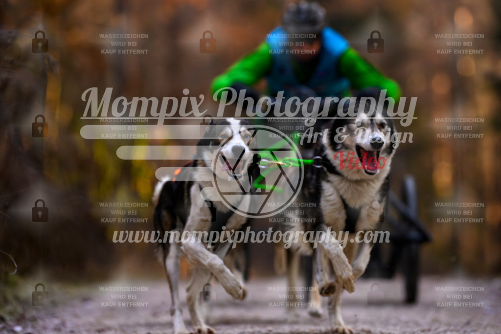 MompixPhotography_DM_AKDM_SO_2025_Wagen-53 | PayLife