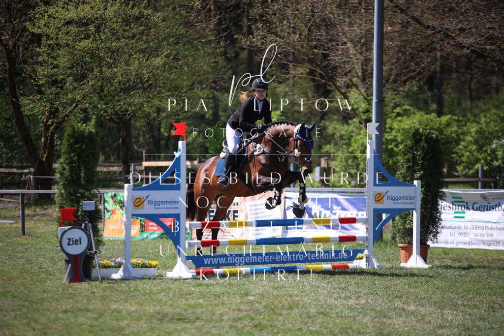 IMGT7978 | pl-fotografie