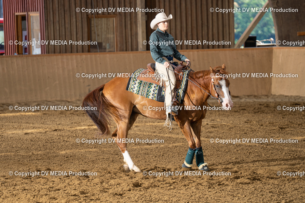 DSC00068 | dv-media-shop - Realisiert mit Pictrs.com