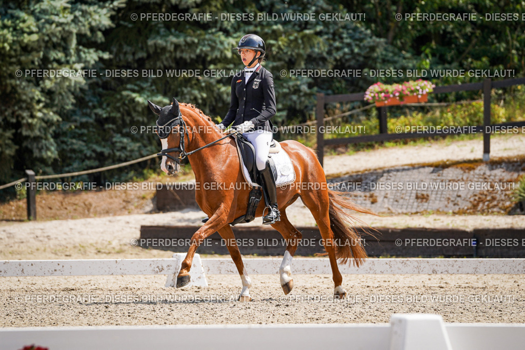 DSC00732 | Pferdegrafie