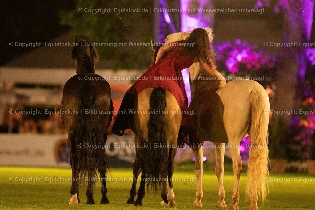 20230526_Pferdenacht_1477 | equistock
