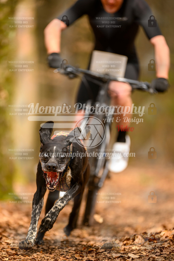 MompixPhotography_Habay2025_SA_Bike-144 | PayLife
