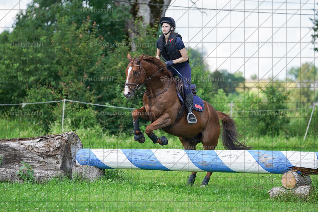 20240622-FAH07051 | Turnierfotografen Bayern, Reitsportbilder aus dem Geländekurs mit Felix Etzel auf dem Gut Waitzacker 2024