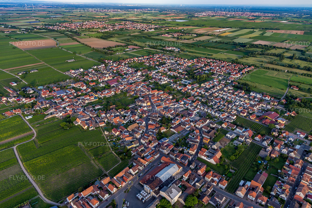 Luftbild: Ortsansicht am Rande von landwirtschaftlichen Feldern und Nutzflächen in Niederkirchen bei Deidesheim im Bundesland Rheinland-Pfalz in Deutschland. Foto: IMG_107741.jpg vom 03.06.2018 durch Werner Riehm/FLY-FOTO.de