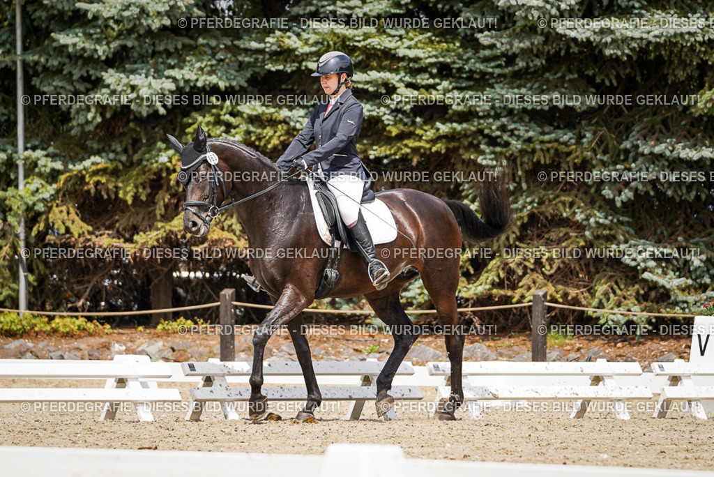 DSC02730 | Pferdegrafie