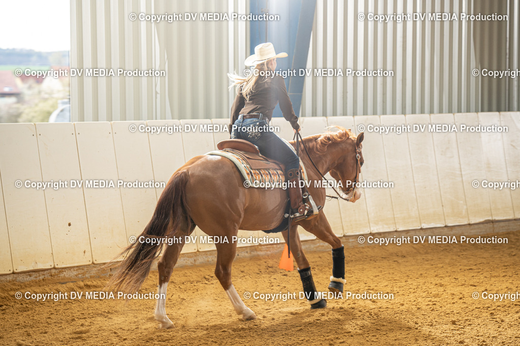 MIT00648 | dv-media-shop - Realisiert mit Pictrs.com