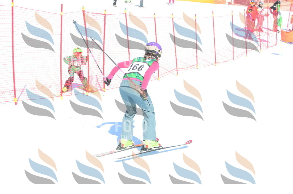 C6208 | holidayphoto