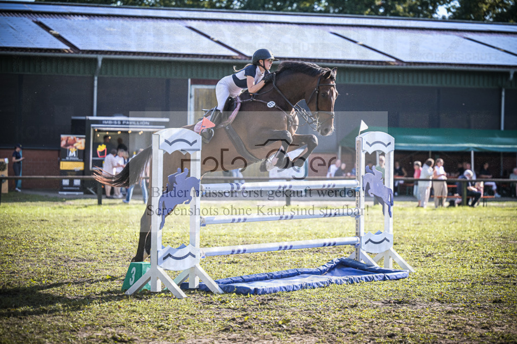 DOS_0203 | Entdecke hochwertige Reitturnierfotos von Foto Oger. Professionell, emotional und authentisch – jetzt Lieblingsmomente im Shop bestellen.Deutschlandweite Turnierfotografie. - Realisiert mit Pictrs.com