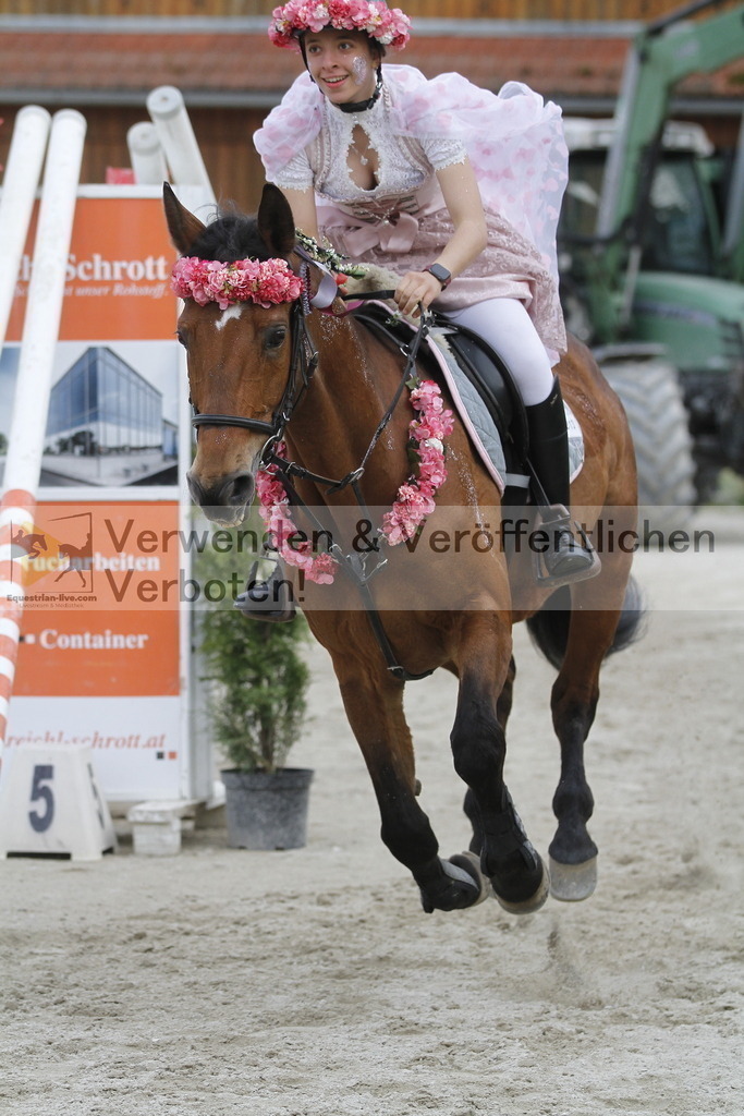 _MG_5559 | equestrian-live-com