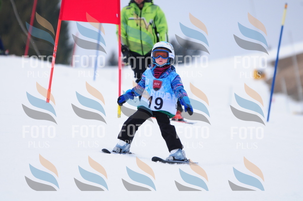 A3398 | holidayphoto