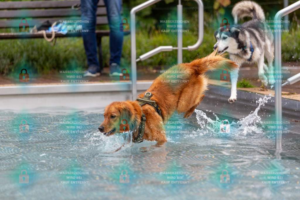 _HP_6254_1000o | HetPix, HetPix Fotodesign, Fotografie, Fotodesign, Webshop, Sportfotografie, Portraitfotografie, Onlineshop, Sportfotografie, Polch, Motorsportfotografie, Eventfotografie