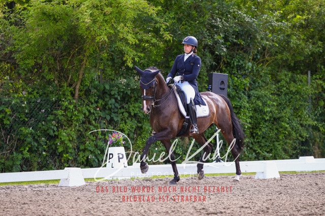 DKP41356 | Deine Turnierfotos vom Reitturnier online kaufen: Dressur, Springen & Siegerehrung. Professionelle Pferdefotografie aus dem Rheinland – als Download & Print.Alternative: Turnierfotograf für den Pferdesport: Finde deine Fotos von Dressur- und Springturnier