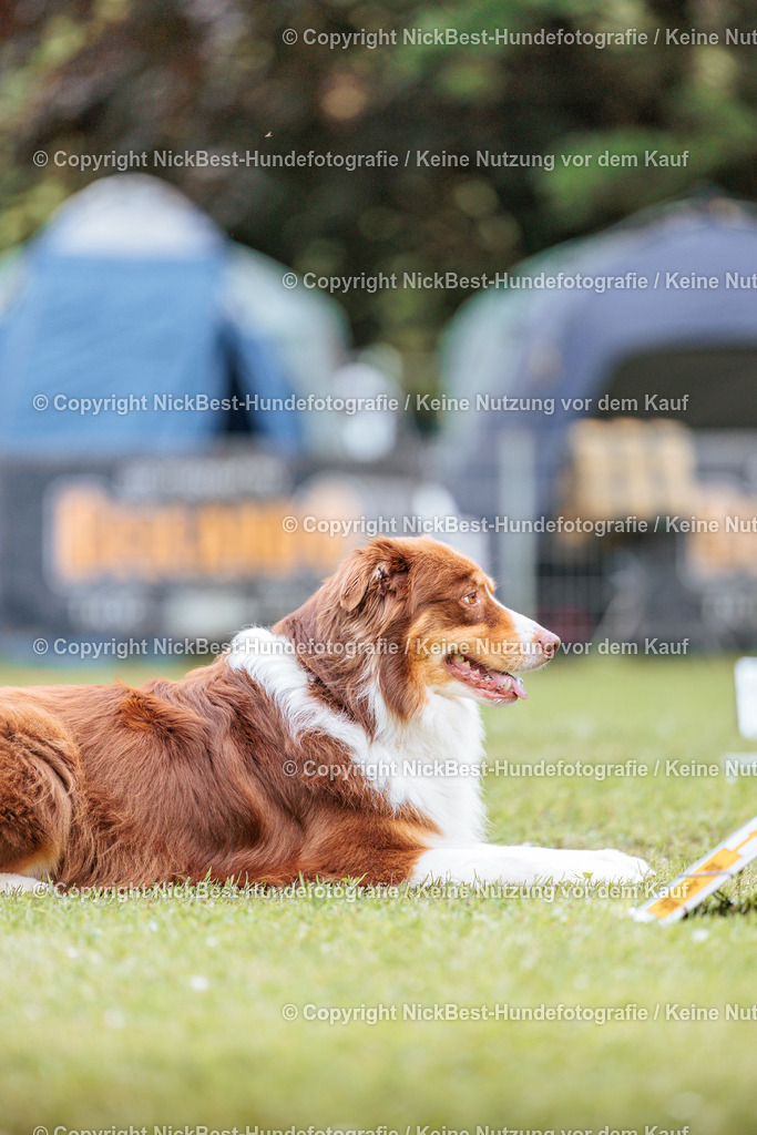 RO-Blumenthal-2026-Nickbest-Hundefotografie-2301 | Dein Hund! Dein Moment! Deine Erinnerungen! Hundefotografie in Bremen Blumenthal. Ich fange die besonderen Momente deines Vierbeiners ein – ob Indoor mit Blitzanlage oder in der freien Natur. Sicher dir dein Moment und dein Termin für eure Erinnerungen.