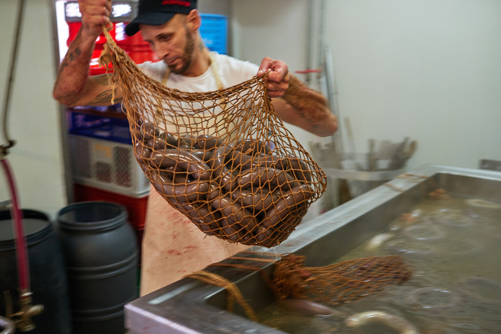 Fleischerei Dormayer | Langenzersdorf, Austria - February 12, 2019: Fleischerei Dormayer - Blutwurst Herstellung; Netz mit fertig gekochter Blutwurst. - Realisiert mit Pictrs.com