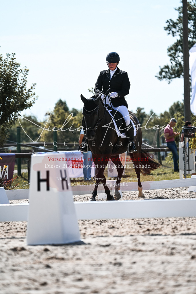 DSC_5012 | Pferde- und Turnierfotografie in Westsachsen. Pferdeportraits, Auftragszeichnungen und intuitive Kunst.
