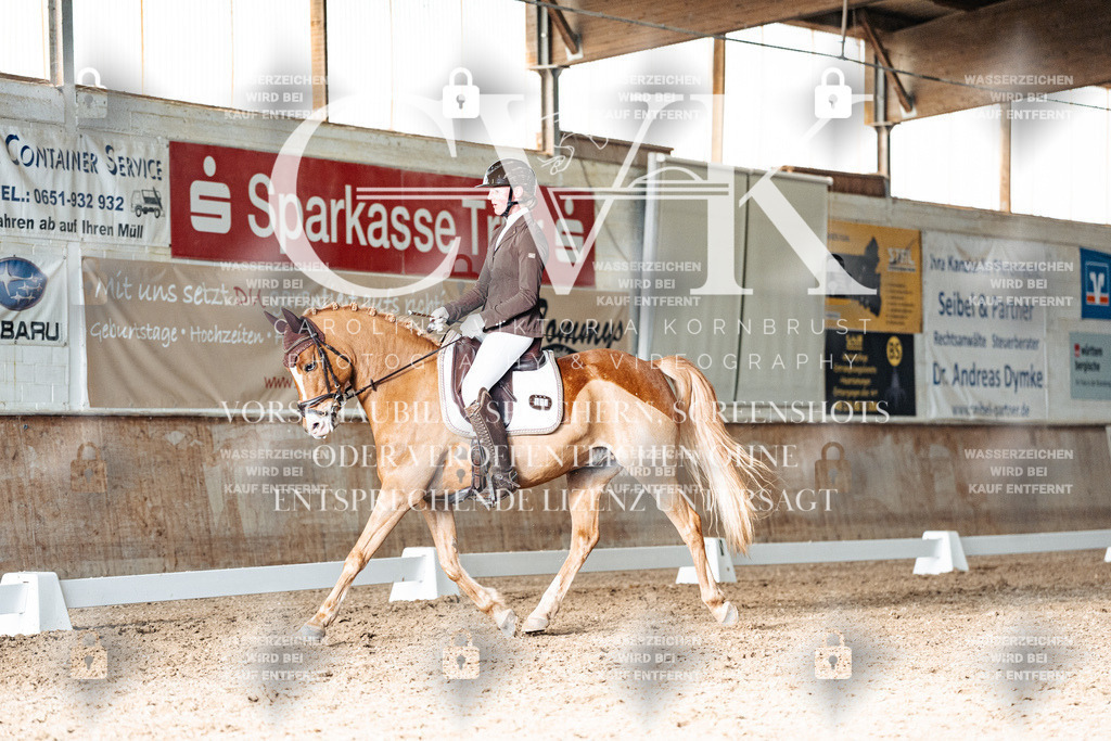 CK902929 | Turnierfotografie Pferdefotografie Trier Rheinland-Pfalz Pferdesport Reitsport Tierfotografie Sportfotografie Pferdevideo Pferdevideografie Equestrianvideography equestrianphotography  - Realisiert mit Pictrs.com