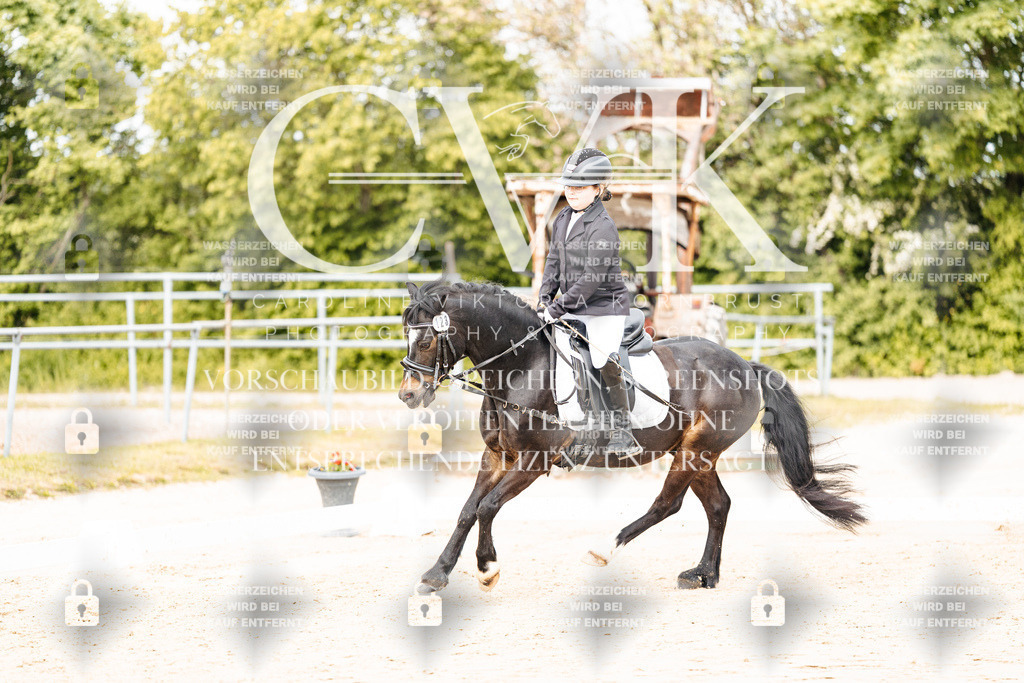 CK904366 | Turnierfotografie Pferdefotografie Trier Rheinland-Pfalz Pferdesport Reitsport Tierfotografie Sportfotografie Pferdevideo Pferdevideografie Equestrianvideography equestrianphotography  - Realisiert mit Pictrs.com
