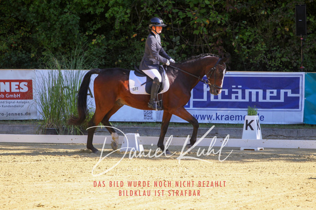 DKP41716 | Turniersportfotografie; Pferdefotografie; Dressurfotografie