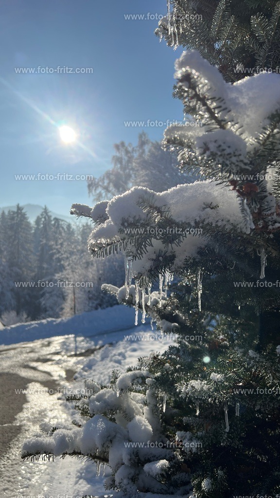 IMG_E6768 | www.foto-fritz.com - Realisiert mit Pictrs.com