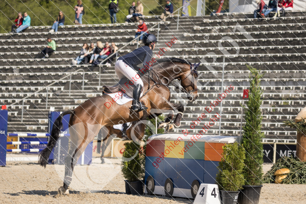 IMG_4052 | Sport-, Event- und Tierfotos in Profiqualität. Einfach auswählen, bestellen und herunterladen. Dein Moment – perfekt festgehalten.