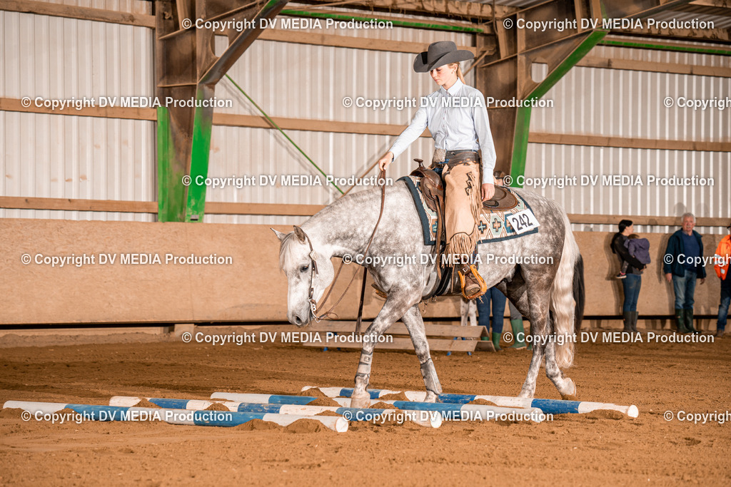 BA400254 | dv-media-shop - Realisiert mit Pictrs.com