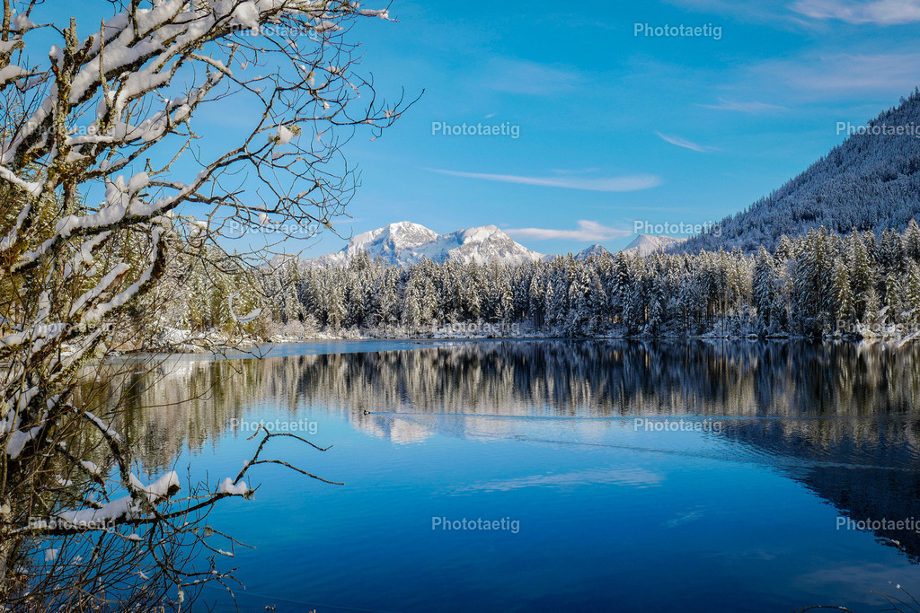 IMG_6667 | phototaetig