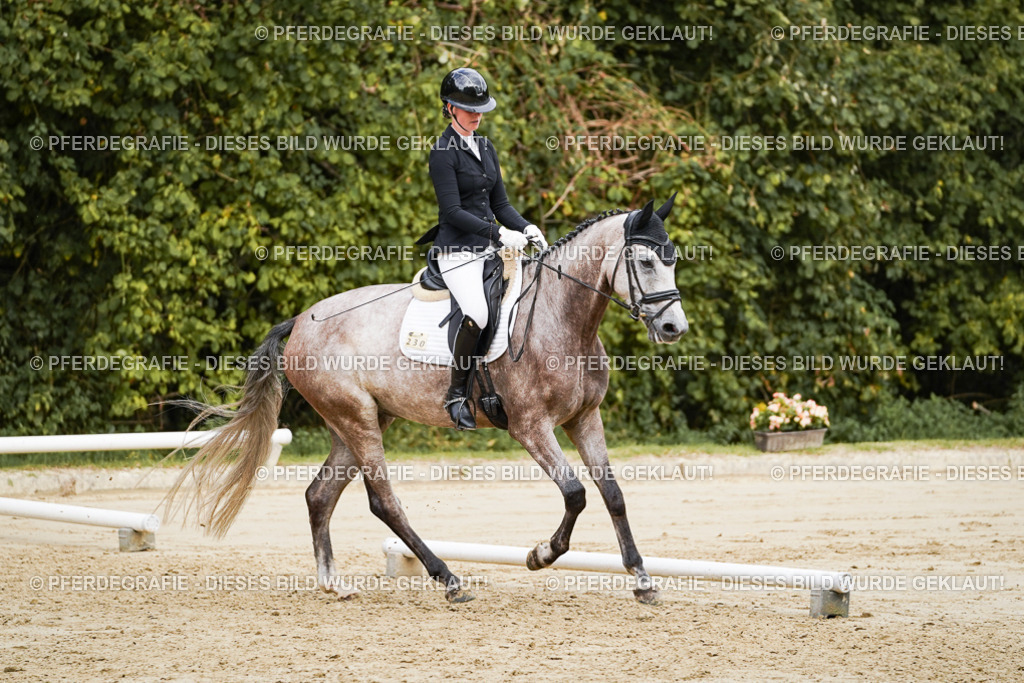 DSC00758 | Pferdegrafie