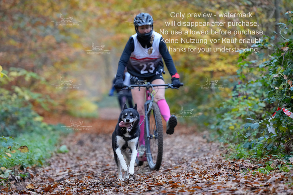 Scooter_So-74 | stephaniefillaphotographie - Realisiert mit Pictrs.com