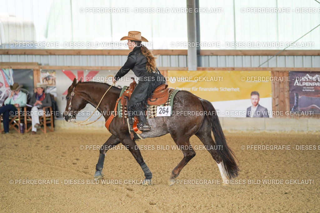 DSC02409 | Pferdegrafie