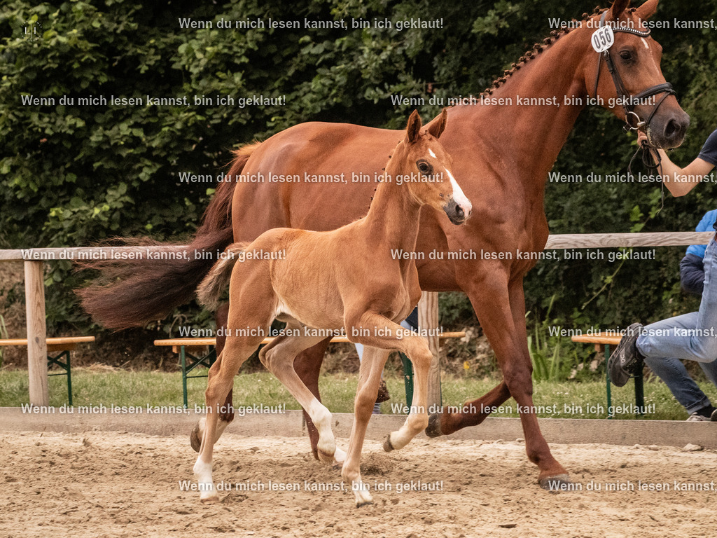 A10I5669 | photographylinaismer - Realisiert mit Pictrs.com