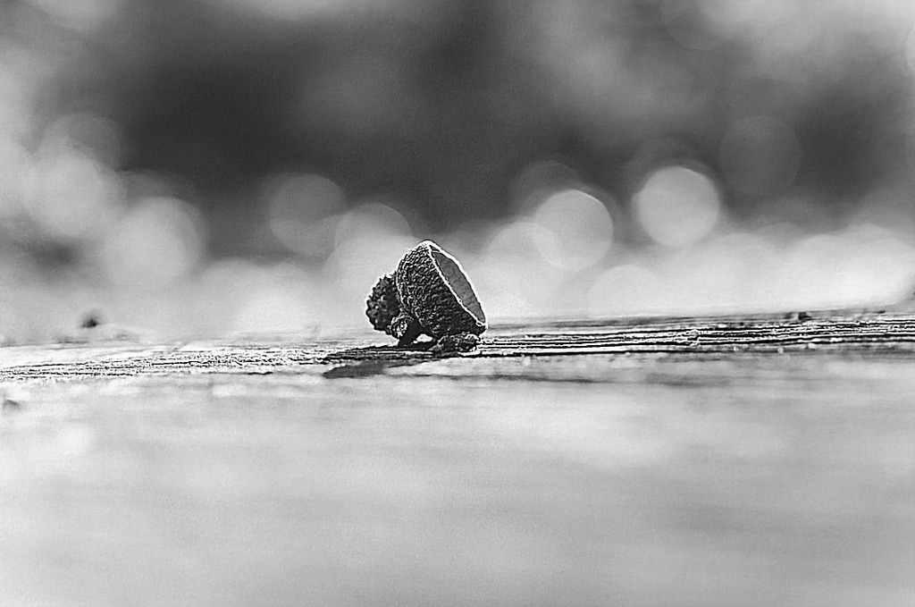 202310111741002023-08-27-05-27-48-149-01-2 | Kaufen sie online außergewöhnliche Fotografien auf Leinwand Acrylglas Fotoprint Aludibond von holgerweigeltfotografie - Realized with Pictrs.com