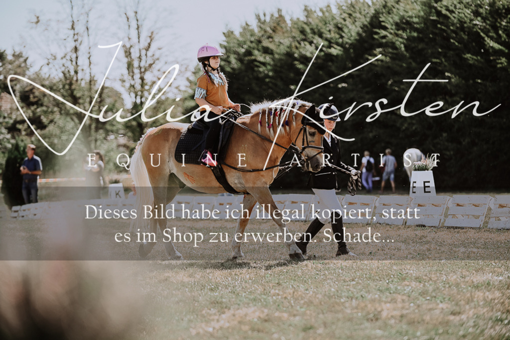 DSC_8887 | Pferde- und Turnierfotografie in Westsachsen. Pferdeportraits, Auftragszeichnungen und intuitive Kunst.