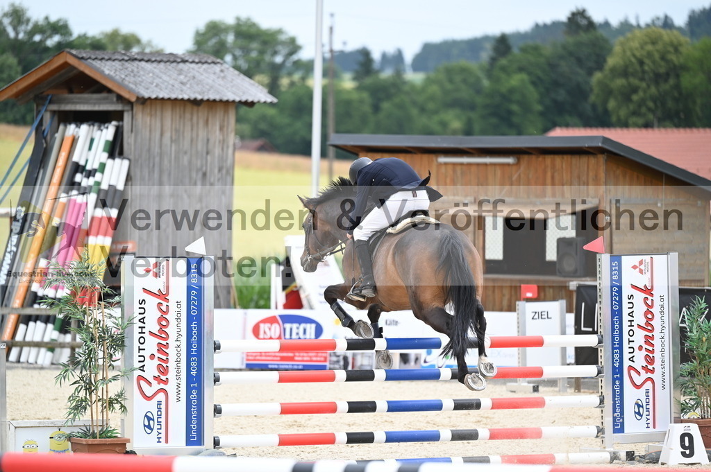 DSC_4552 | equestrian-live-com