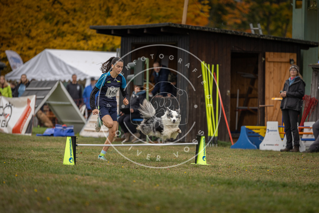 Pfotenfotografie_DV3A4935 | Hundefotografie, Tierfotograf, Pfotenfotografie, Fotoshooting Hund, Hunde Portrait, Hundesport, Hundeportraits, Heideshooting, Hunde, Sportfotograf, Hundefotograf, Turnierhundsport, THS,  - Realisiert mit Pictrs.com