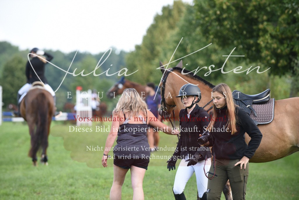 DSC_8599 | Pferde- und Turnierfotografie in Westsachsen. Pferdeportraits, Auftragszeichnungen und intuitive Kunst.