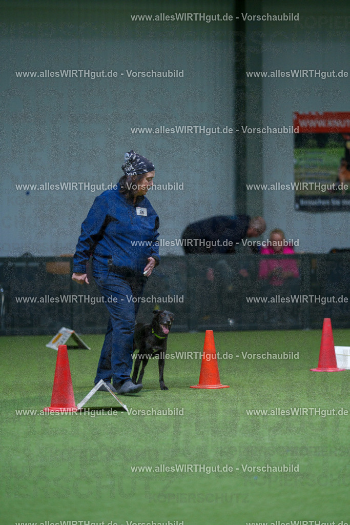 7R506015 | Professionelle Tierfotografie in Mönchengladbach von Daniel Wirth (allesWIRTHgut). Liebevolle & natürliche Bilder von Hunden & Katzen für unvergessliche Erinnerungen.