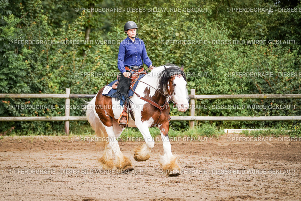 DSC07697 | Pferdegrafie