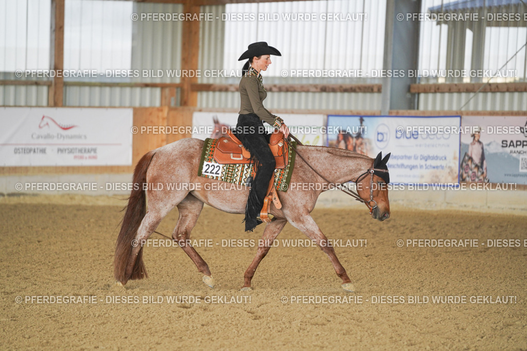 DSC09143 | Pferdegrafie