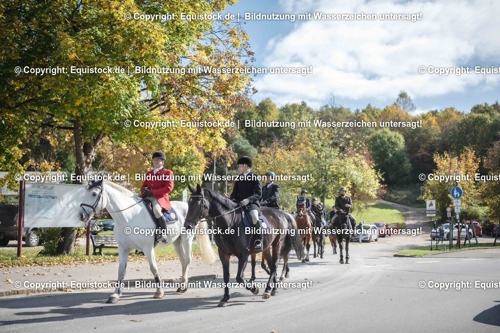 20251011_Jagd-Marbach_0189 | Foto: Thomas Hartig