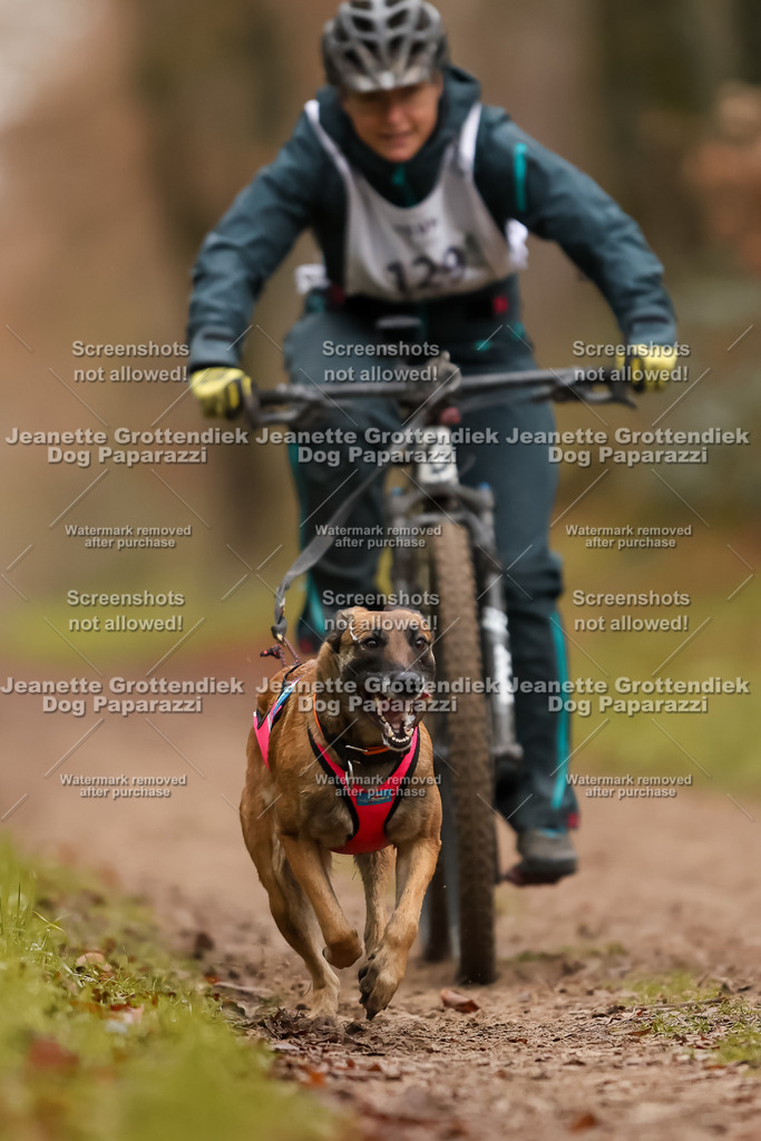 Dog Paparazzi - Speedhunter Mannheim  2025-363 | Dog Paparazzi Jeanette Grottendiek Fotografie & Videografie