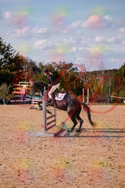 2026_10_03_Siefer-Hof_153532_Z81_47446821 | Professionelle Reitsport-, Turnier- und Eventfotografie von Robert Broda. Galerien mit ausgewählten und bearbeiteten Bildern direkt online ansehen und bestellen.