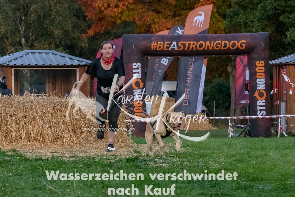 0810_ZZ94540-Bearbeitet | kk-dogfotos