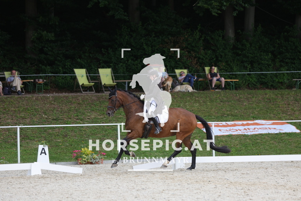 0P6A7316 | Willkommen bei Brunnmayr - Design & Fotografie – Ihrem Spezialisten für Reitturniere und Pferdeveranstaltungen in Oberösterreich, Salzburg und Bayern! Seit über 17 Jahren sind wir leidenschaftlich dabei.