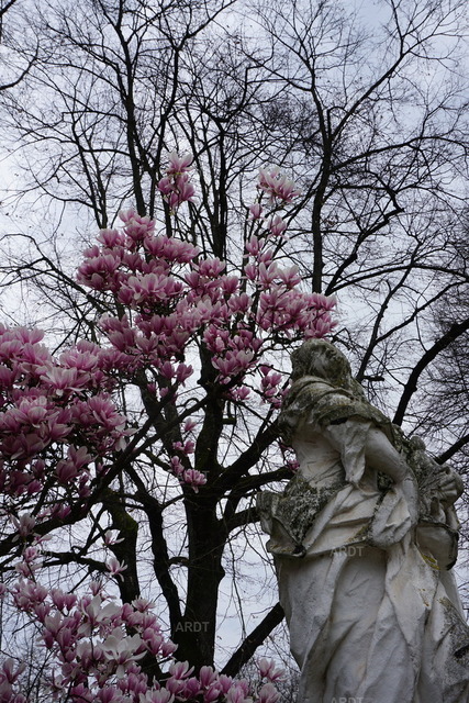 Momente 9 | Palastgarten Trier