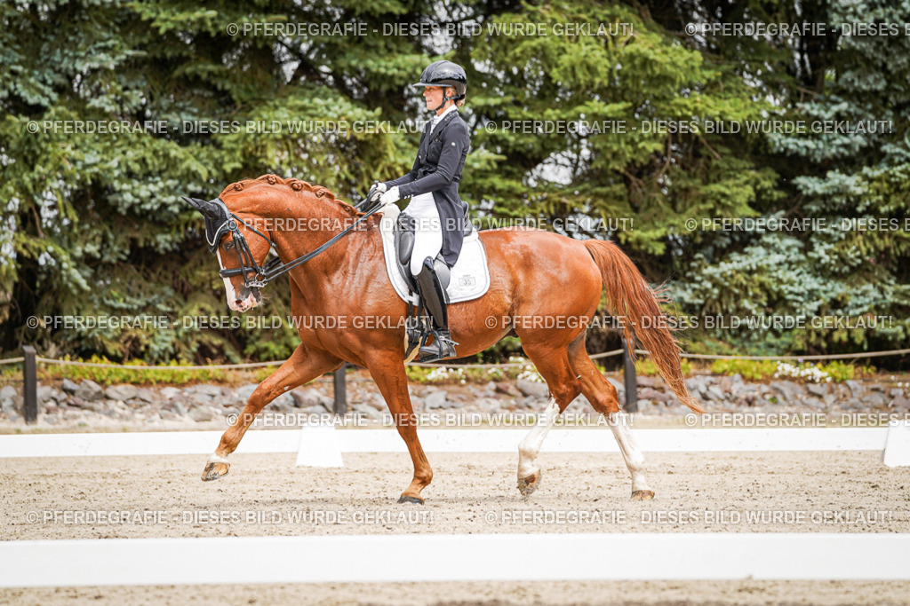 DSC05688 | Pferdegrafie