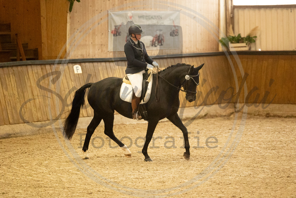 994A3395 | sabrinanicolaifotografie - Realisiert mit Pictrs.com