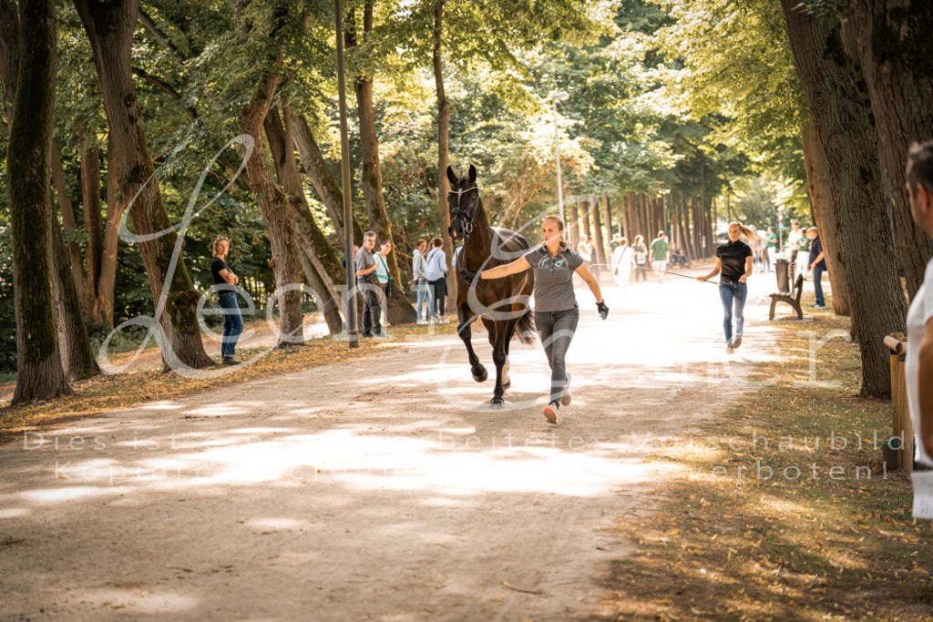 FrPfM00167 | Leoni Ertmer Photography - Realisiert mit Pictrs.com